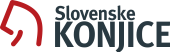 TIC Slovenske Konjice