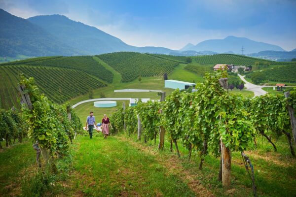 Naravna dediščina_Škalce - Sprehod med vinogradi FOTO Tomo Jeseničnik, www.slovenia.info Naravna dediščina_Škalce - Sprehod med vinogradi FOTO Tomo Jeseničnik, www.slovenia.info