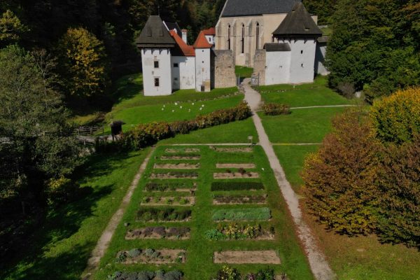 1 Občuti_Tematska vodenja OST FOTO Aljoša Vornšek Zeliščni vrt v Žički kartuziji, FOTO: Aljoša Vornšek