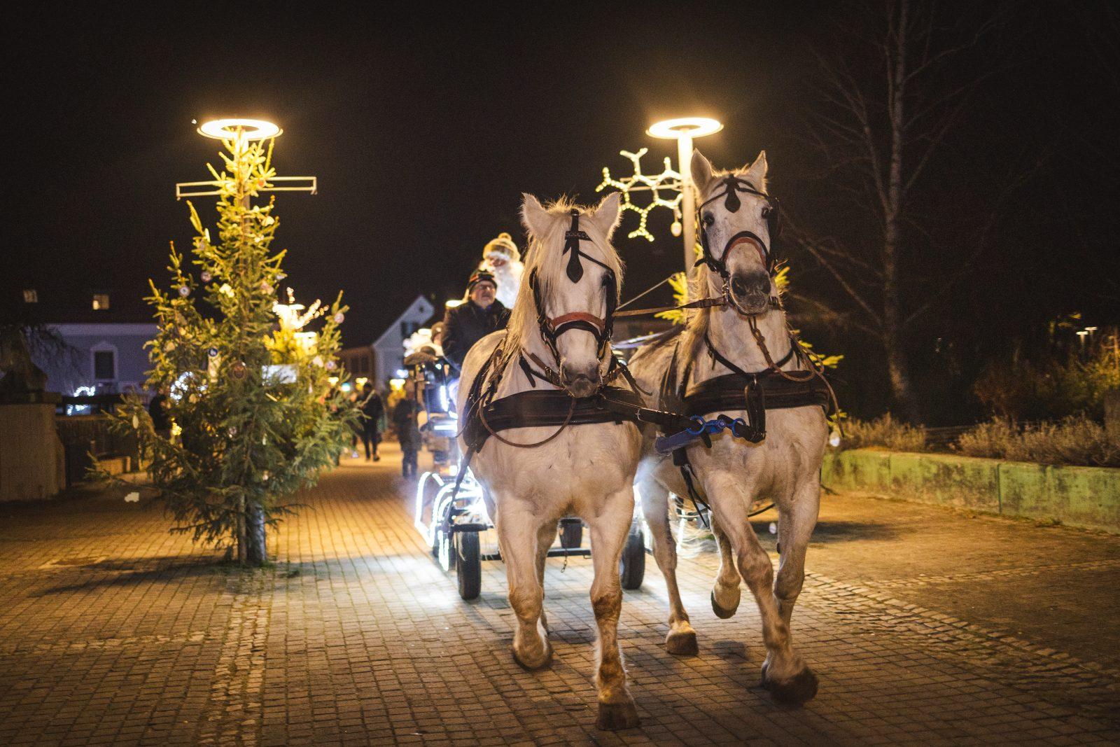 Praznični december v Slovenskih Konjicah 2025