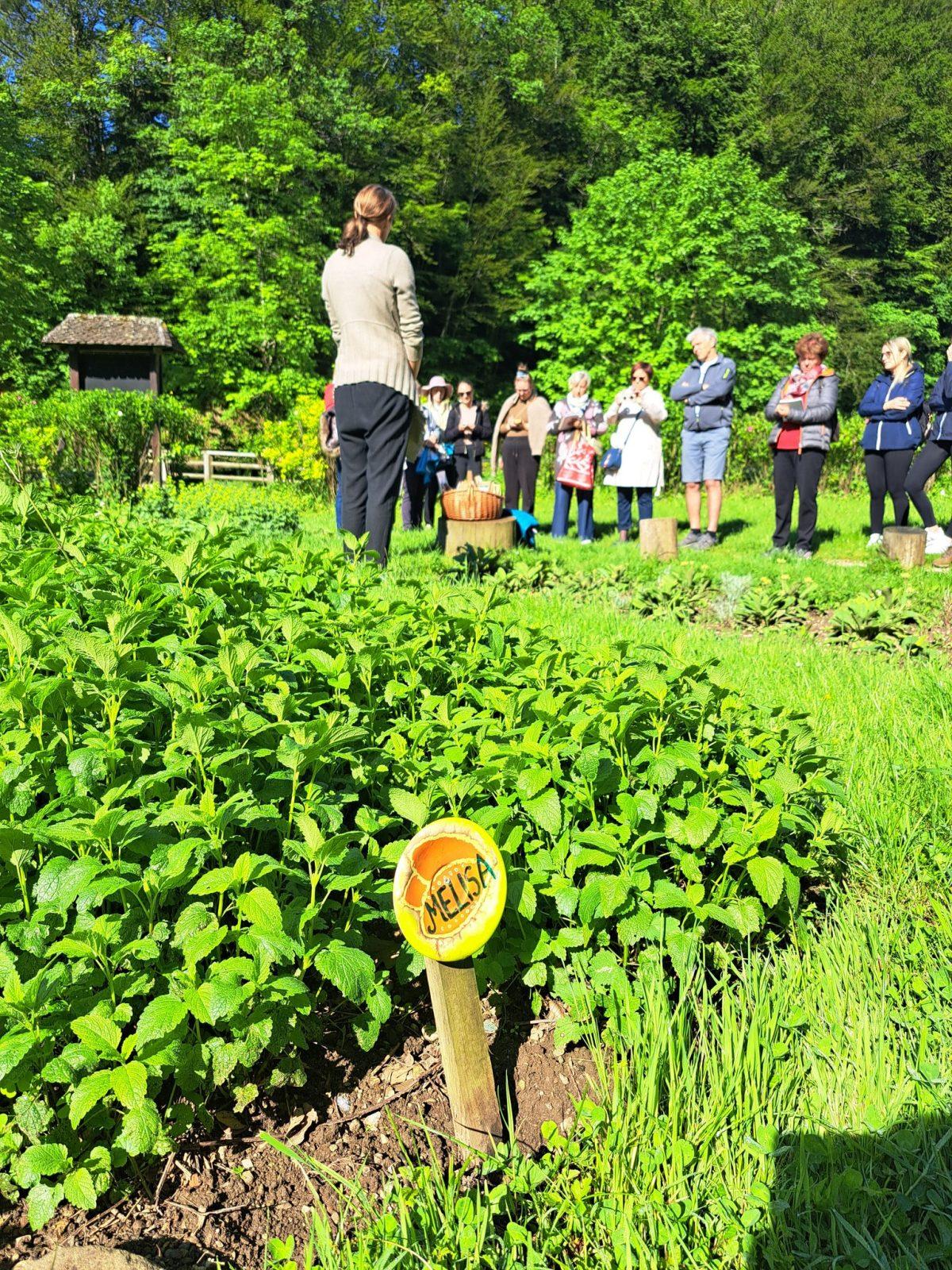 Projekt NUDGES: Začuti in spremeni – Kako vonj vpliva na naše okolje, spomine in trajnostne izbire?