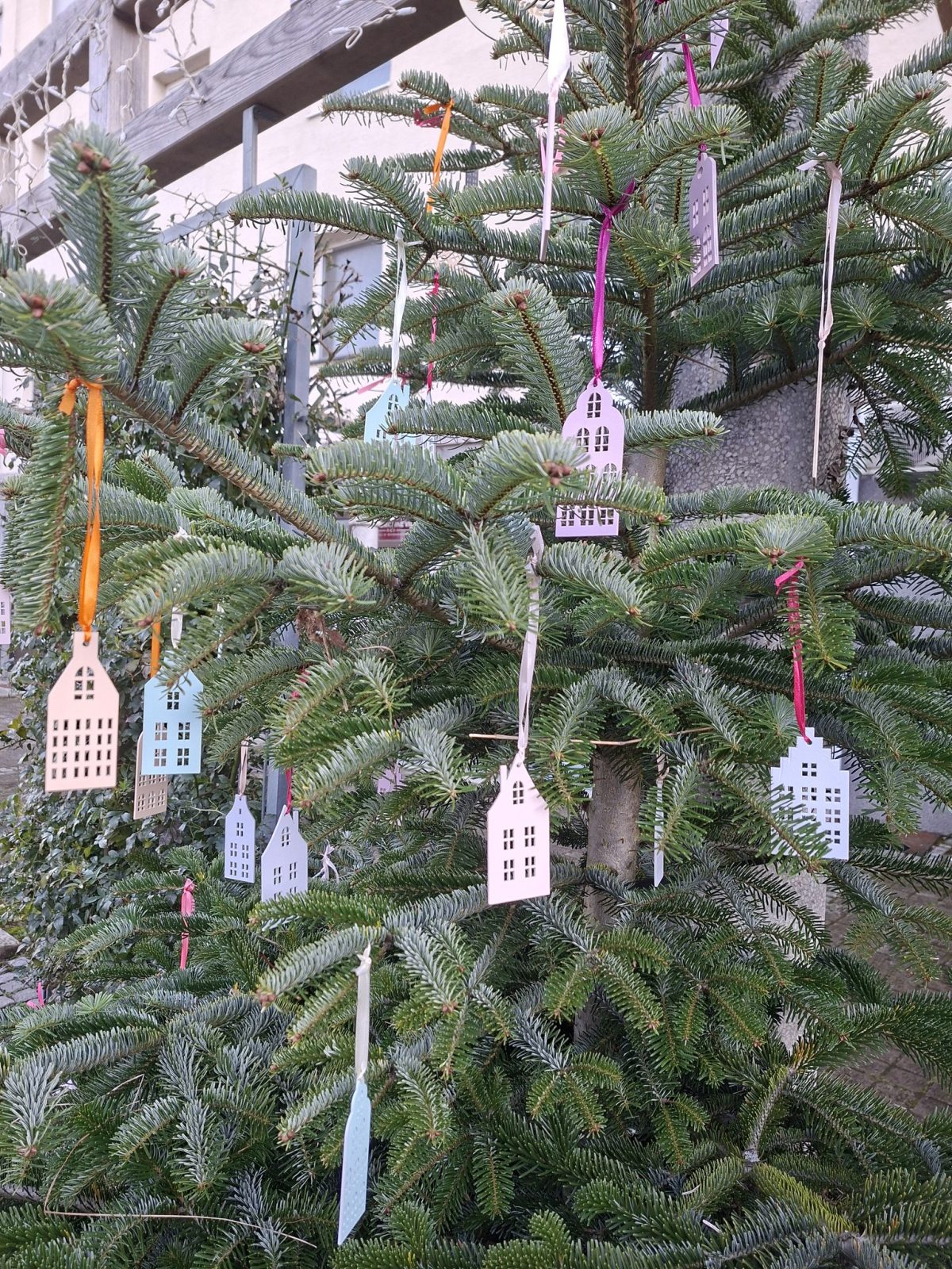 Praznični delovni čas I Žička kartuzija & TIC Slovenske Konjice